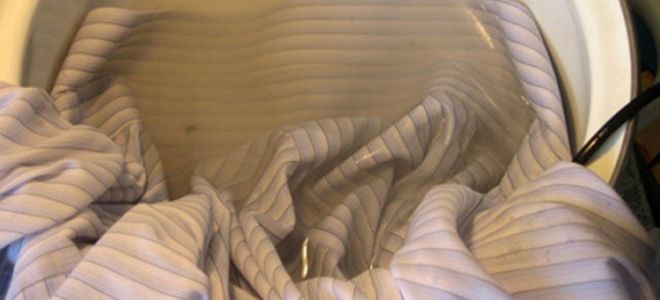 كيفية إزالة العفن من الملابس