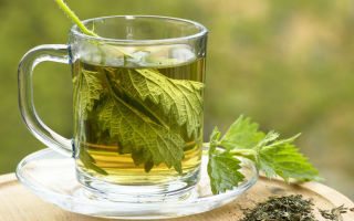 Agnello bianco: foto e descrizione, uso nella medicina tradizionale