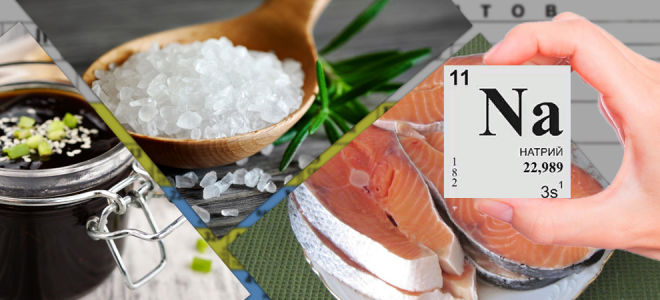 Храни, съдържащи натрий в големи количества: таблица, списък