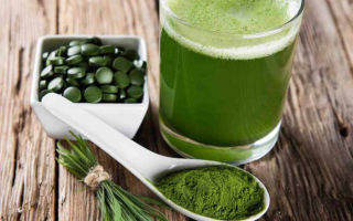 Chlorella: kullanışlı özellikleri ve kontrendikasyonları, incelemeleri.