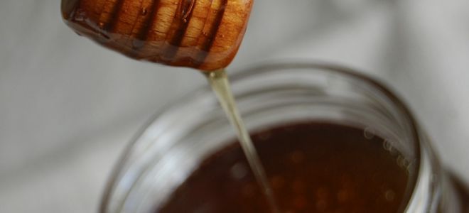 Почернен мед: полезни свойства и противопоказания