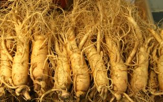 Ginseng Tinktur, Eigenschaften für Männer und Frauen, wie zu nehmen