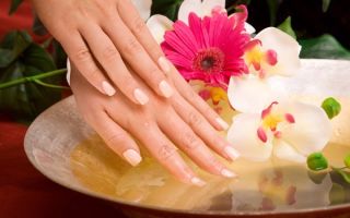 كيف يفيد الجيلاتين الجسم