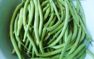 Comment les haricots verts sont-ils utiles, recettes diététiques