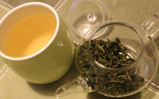 Chá oolong com leite (oolong): propriedades úteis e prejudiciais