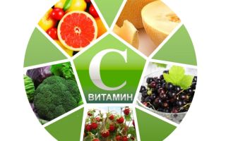 Il danno dell'acido fitico, dove si trova e come neutralizzarlo