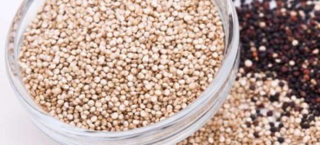 Ползите и вредите от киноата за организма