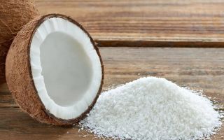 Por que os flocos de coco são úteis e como fazer em casa