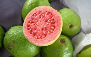 Guava: benefici e rischi per il corpo
