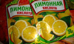 Как да почистите тоалетната чиния от камъни в пикочните пътища: отвътре и отвън, народни и специални средства