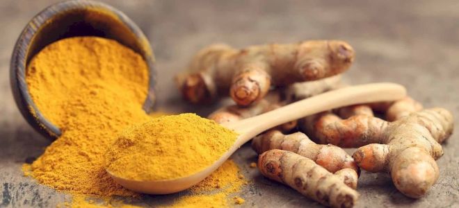 Colorant E100: dangereux ou pas, effet sur le corps