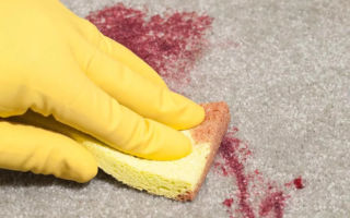 كيفية إزالة العنب البري من الملابس