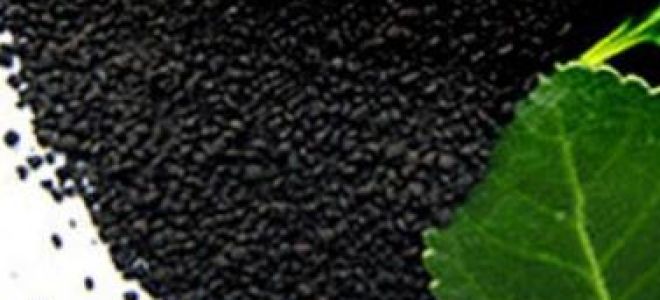 Хуминови киселини: въздействие върху човешкото тяло, свойства и приложение