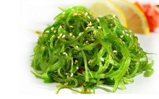 Alghe Chuk: benefici e rischi