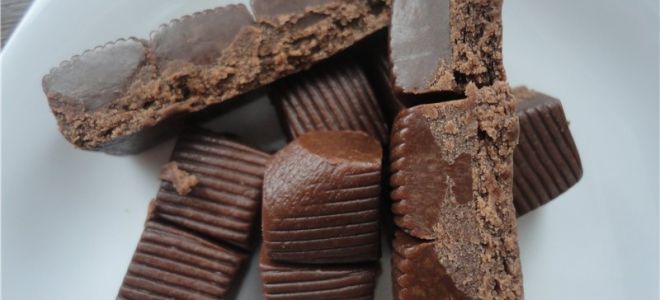 لماذا الهيماتوجين مفيد؟