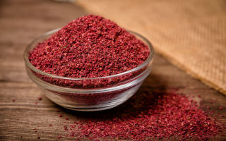 Sumak'ın insan sağlığı için yararları ve zararları: kompozisyon, fotoğraf ve açıklama