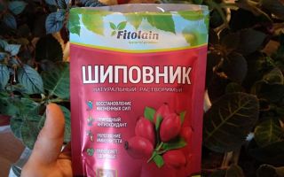 Perché la polvere di estratto di rosa canina è utile per la salute umana