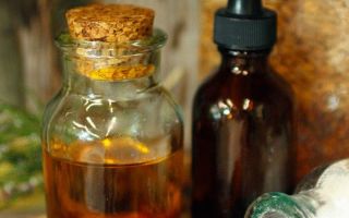 Полезни свойства на влака и противопоказания за жени, мъже