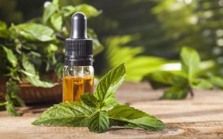 Propriétés médicinales et utilisations de l'huile essentielle de menthe poivrée
