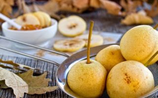 Armut neden faydalıdır