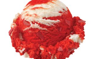 Ponso 4R (E124): de quoi s'agit-il, dangereux ou pas, où est-il appliqué