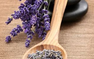 Come usare l'olio essenziale di lavanda per il viso