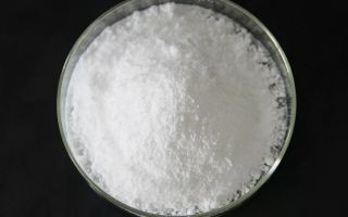 Food supplement E551: impact on the human body