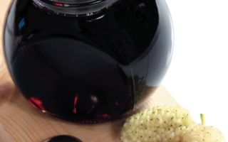 Sciroppo di gelso (doshab di gelso): proprietà medicinali, recensioni, controindicazioni