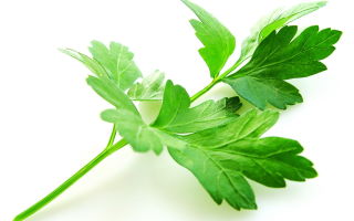 Как да убиете лука от устата си