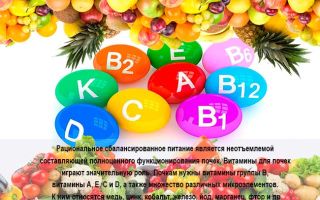 Vitaminas para los riñones: los nombres de las mejores drogas, las reglas de uso.