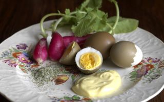 Pheasant eggs: benefits and harms