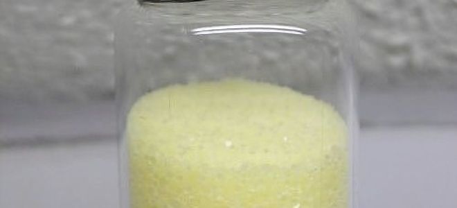 Additif alimentaire E536: dangereux ou non, effet sur l'organisme