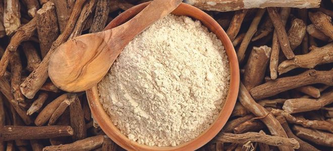 Shatavari: Zusammensetzung, Gebrauchsanweisung, Bewertungen von Frauen, Männern