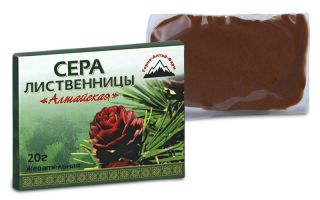 Защо дъвченето на сяра (катран) е полезно?