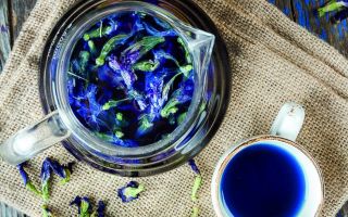 Té azul de Tailandia: propiedades beneficiosas, composición química, contraindicaciones.