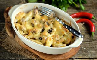 Ядливи гъби гъби: където растат, полезни свойства