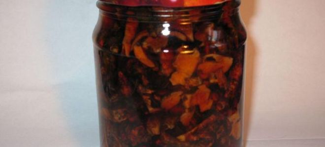 Ce qui traite la bile d'ours: propriétés utiles, contre-indications, comment boire correctement, effets secondaires, stockage