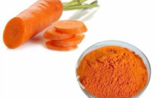 Nahrungsergänzungsmittel E160a: gefährlich oder nicht, Auswirkungen auf den Körper