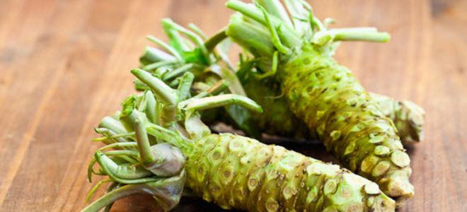 Защо isabi е полезен за човешкото здраве: какво е, състав, вреда, противопоказания