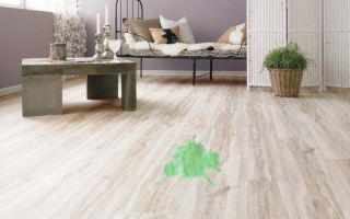 Come pulire il verde brillante dal linoleum