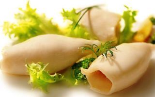 Warum sind Tintenfische nützlich?