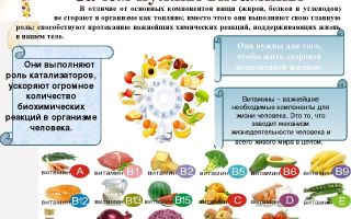 Os melhores multivitamínicos para crianças com micronutrientes: comentários