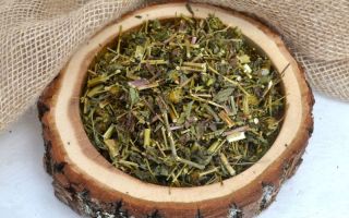 Ακολουθία: πώς να παρασκευάζετε σωστά, να λούζετε ένα παιδί με φραγκόσυκο, διάθεση