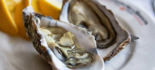 Стридите: полезни свойства, състав и противопоказания