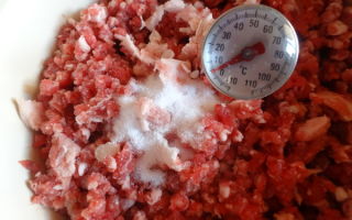 Lebensmittelzusatzstoff E340: gefährlich oder nicht, Auswirkungen auf den Körper