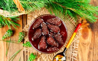 Tannenzapfenmarmelade: Nutzen und Schaden, Rezepte mit Fotos, Bewertungen