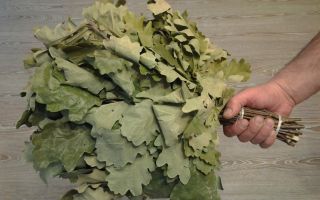 Perché una scopa di quercia è utile in un bagno