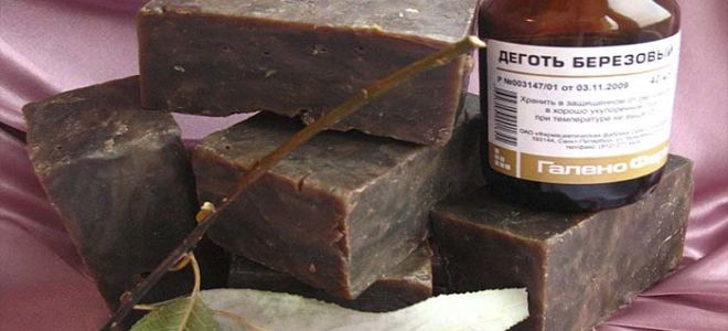 Pourquoi le savon de goudron est-il utile, ce qui aide, comment l'utiliser